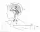 Fig. 01 - Method, system and apparatus for automated termination of a therapy for an epileptic event upon a determination of effects of a therapy