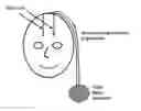 Fig. 01 - CHOLINERGIC DEEP BRAIN STIMULATOR