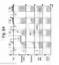 Fig. 09 - Systems and related methods for optimization of multi-electrode nerve pacing