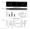 Fig. 10 - System utilizing light-activated ion channel protein (VChR1) for optical stimulation of target cells