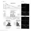 Fig. 11 - System utilizing light-activated ion channel protein (VChR1) for optical stimulation of target cells
