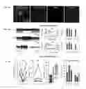 Fig. 12 - System utilizing light-activated ion channel protein (VChR1) for optical stimulation of target cells