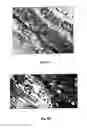 Fig. 08 - WATER SOLUBLE ANIONIC BACTERIOCHLOROPHYLL DERIVATIVES AND THEIR USES
