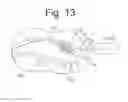 Fig. 08 - Method of orthopedic treatment by radiation