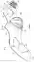 Fig. 03 - RESISTANCE AND FILTRATION BREATHING DEVICE