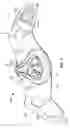 Fig. 04 - RESISTANCE AND FILTRATION BREATHING DEVICE