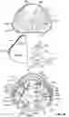 Fig. 06 - RESISTANCE AND FILTRATION BREATHING DEVICE