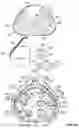 Fig. 12 - RESISTANCE AND FILTRATION BREATHING DEVICE