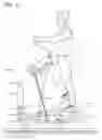 Fig. 10 - Elliptical exercise device with moving control tracks