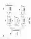 Fig. 26 - Sequentially operated modules