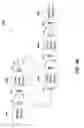 Fig. 45 - Sequentially operated modules