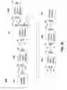Fig. 52 - Sequentially operated modules