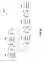 Fig. 57 - Sequentially operated modules