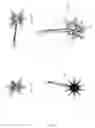 Fig. 14 - Modular Balloon Support System