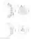 Fig. 09 - Truncated filter capsule