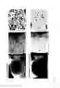 Fig. 06 - Reverse osmosis membranes and separations