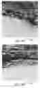 Fig. 06 - Asymmetric articles with a porous substrate and a polymeric coating extending into the substrate and methods of making the same