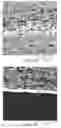 Fig. 08 - Asymmetric articles with a porous substrate and a polymeric coating extending into the substrate and methods of making the same