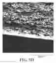 Fig. 09 - Asymmetric articles with a porous substrate and a polymeric coating extending into the substrate and methods of making the same