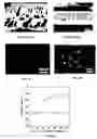 Fig. 03 - NANOPOROUS POLYMER MEMBRANES AND METHODS OF PRODUCTION