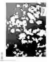 Fig. 13 - Mixing apparatus for mixing powder having liquid repellent property and liquid
