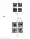Fig. 08 - Solid aggregates of microparticles, system and method for producing such aggregates