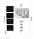 Fig. 05 - COMPOSITE ARRAYS UTILIZING MICROSPHERES WITH A HYBRIDIZATION CHAMBER