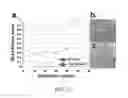 Fig. 13 - PROCESSES FOR RAPID MICROFABRICATION USING THERMOPLASTICS AND DEVICES THEREOF