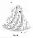 Fig. 14 - Pulp lifter
