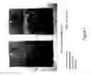 Fig. 08 - BUBBLE ENHANCED CLEANING METHOD AND CHEMISTRY