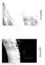 Fig. 26 - BUBBLE ENHANCED CLEANING METHOD AND CHEMISTRY