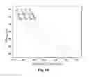 Fig. 13 - Flexible Microstructured Superhydrophobic Materials