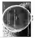 Fig. 20 - Flexible Microstructured Superhydrophobic Materials