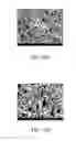Fig. 09 - Silver particle synthesizing method, silver particles, conductive paste producing method, and conductive paste