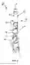 Fig. 06 - Torch handle including pneumatically operated jaw