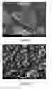 Fig. 09 - SUPERHARD STRUCTURE OR BODY COMPRISING A BODY OF POLYCRYSTALLINE DIAMOND CONTAINING MATERIAL