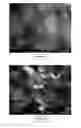 Fig. 13 - SUPERHARD STRUCTURE OR BODY COMPRISING A BODY OF POLYCRYSTALLINE DIAMOND CONTAINING MATERIAL