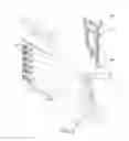 Fig. 06 - TOOL HOLDER