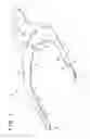 Fig. 02 - Hand member and hand