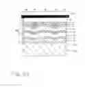 Fig. 04 - Multilayer body