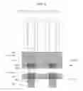Fig. 06 - MEMS device, liquid ejecting head, and liquid ejecting apparatus