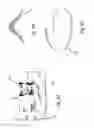 Fig. 05 - Hybrid vector/bitmap printed warped security feature
