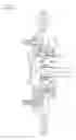 Fig. 07 - Wheel Bearing Apparatus