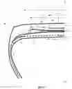 Fig. 02 - Tire comprising a layer of circumferential reinforcing elements