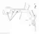 Fig. 08 - Trailer suspension including tubes and wires support system