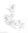 Fig. 09 - Headrest moving device