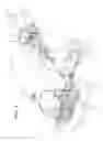 Fig. 02 - Energy absorbing steering column assembly