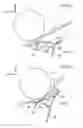 Fig. 08 - Cowl structure for a vehicle