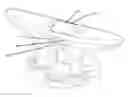 Fig. 01 - Cleat having an adjustable anchoring structure