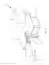 Fig. 02 - Plug-and-play multifunctional attachment of remote control rotorcraft
